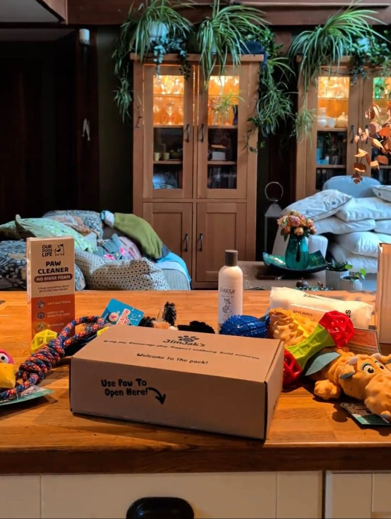 JimJak's Founder's Box - Monthly Mystery Dog Box
